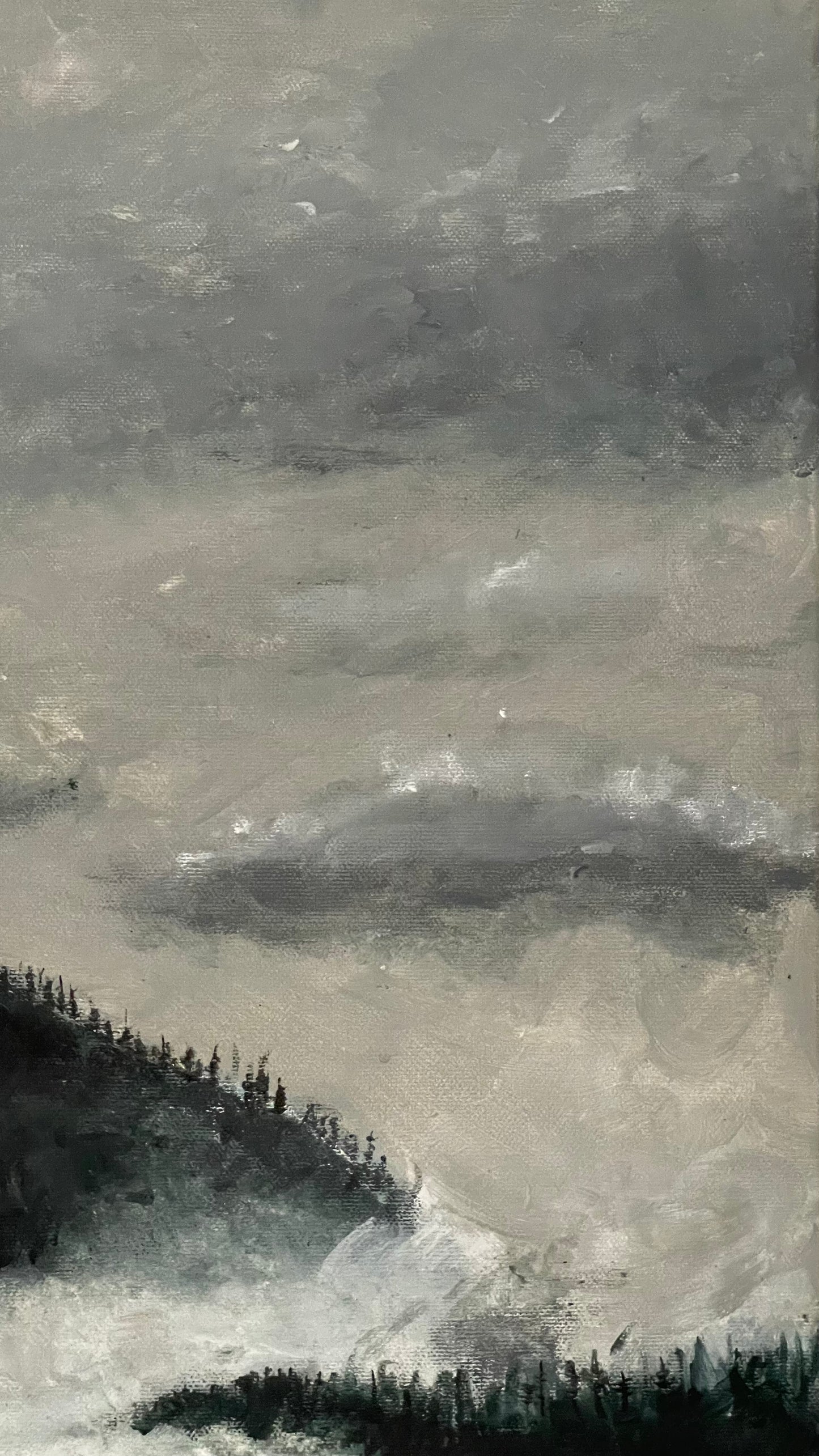 DARK REALISM: Veiled Secrets of the Woods