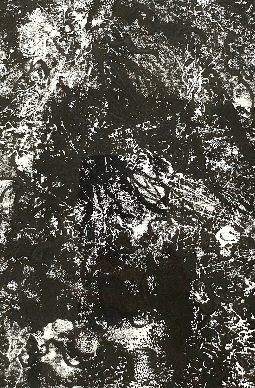 LINOCUT: Floral Shadows (3/6)